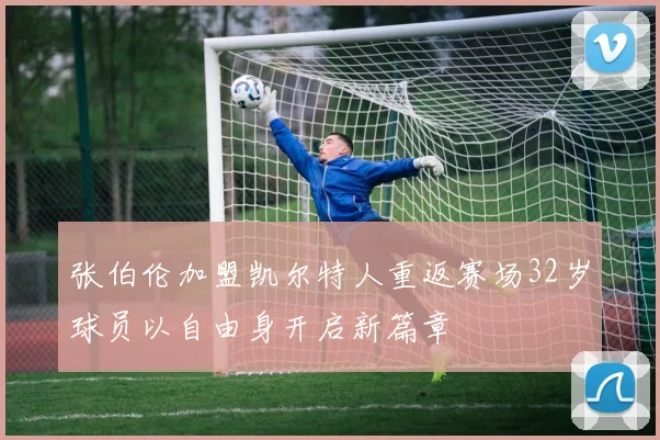 张伯伦加盟凯尔特人重返赛场32岁球员以自由身开启新篇章
