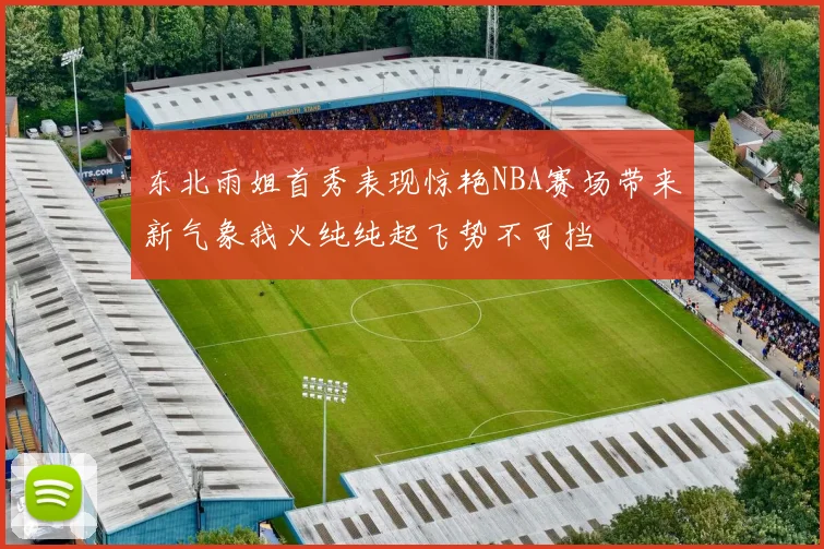 东北雨姐首秀表现惊艳NBA赛场带来新气象我火纯纯起飞势不可挡