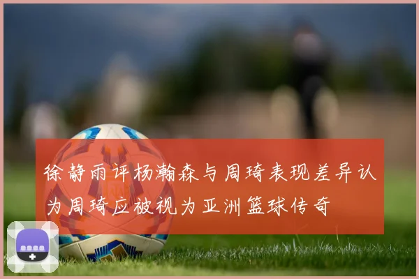 徐静雨评杨瀚森与周琦表现差异认为周琦应被视为亚洲篮球传奇