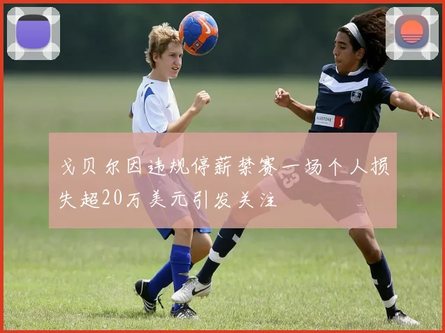 戈贝尔因违规停薪禁赛一场个人损失超20万美元引发关注